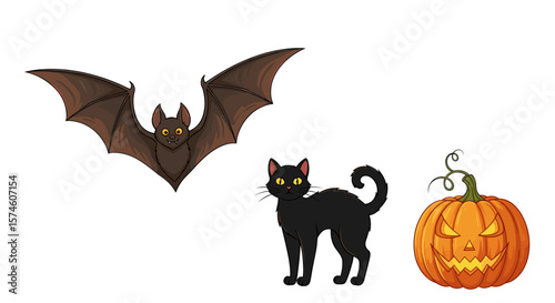 Illustration of a bat, a black cat, and a jack o lantern for halloween season