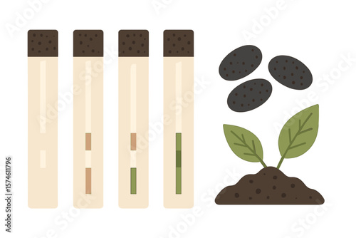 Plant growth analysis with soil samples and seeds in test tubes for scientific research and experiments in a laboratory