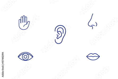 Human senses icon set. Vision eye, smell nose, hearing ear, touch hand, taste mouth with tongue. set of human five senses icon.