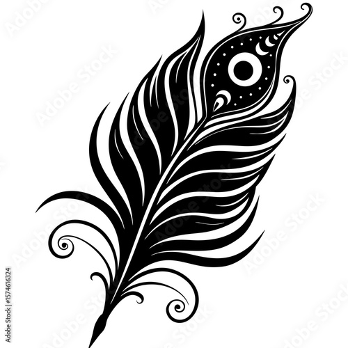 black and white peacock feather