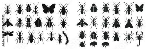 Silhouettes of various insects and arthropods organized in a systematic arrangement on a white background