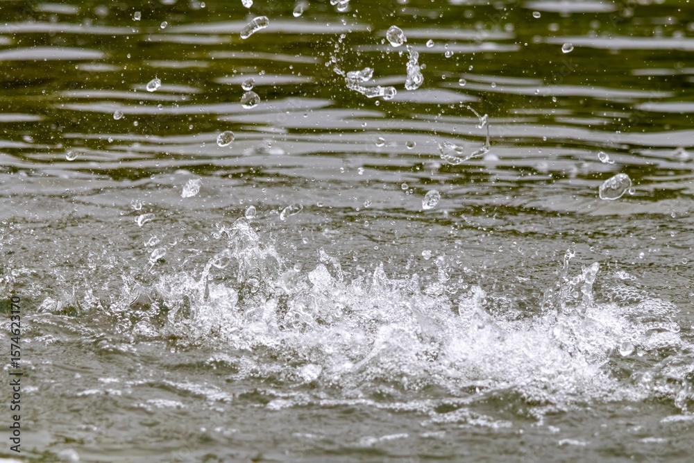 Fototapeta premium water flowing from the water