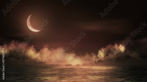 fireworks in the sky