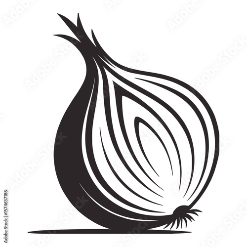 onion vector illustration