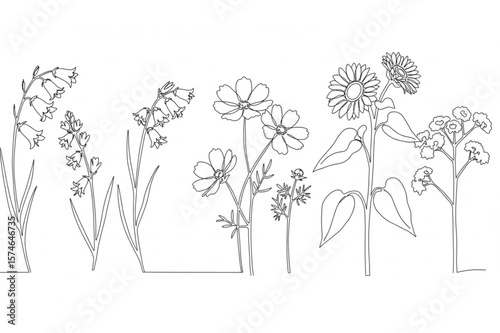 Elegant botanical drawing showcases wildflowers, sunflowers, and cosmos in a minimal floral line art design perfect for branding.