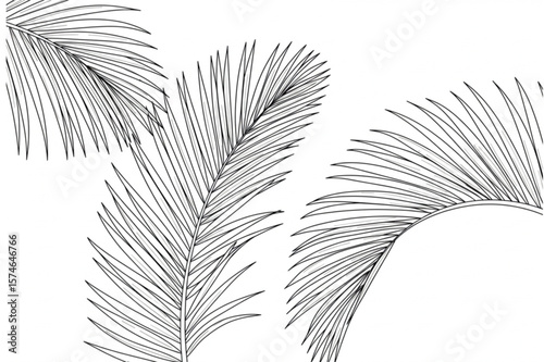 Elegant palm leaf fronds in a minimalist line drawing style, perfect for tropical designs or botanical elements in various creative projects.