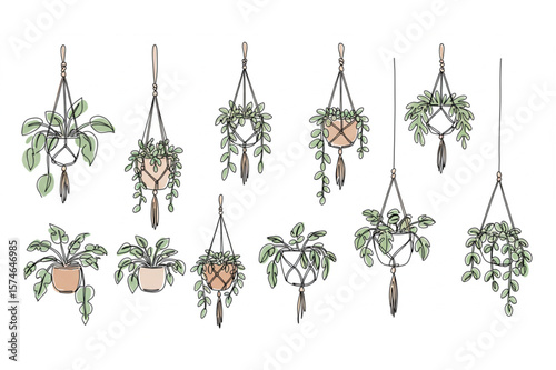 Artistic depiction of potted house plants, perfect for adding a touch of nature to logo designs or botanical themed creative projects.