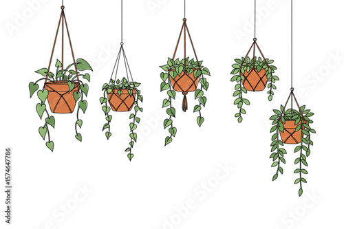 Artistic representation of indoor hanging plants, perfect for home decor projects or botanical themed creative designs.