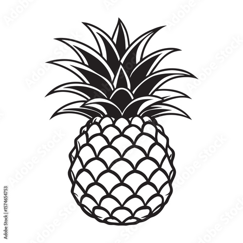 Hand drawn sketch of a pineapple a tropical fruit illustration