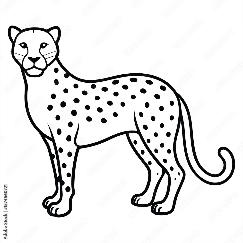 Fototapeta premium Outlined Drawing of a Standing Cheetah with Detailed Spots and Design