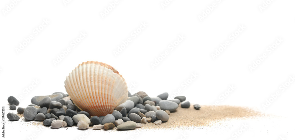 Obraz premium Sea shell and stone in sand pile isolated on white, side view 