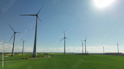 Yellow Rapeseed Field with Wind Turbines under Blue Sky on a Sunny Day