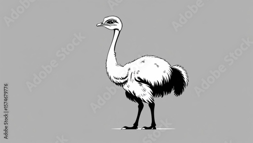  Ostrich Illustration on Grey Background