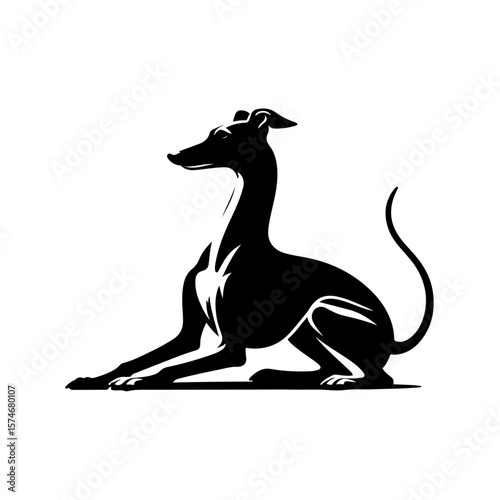 Italian Greyhound Silhouette , Italian Greyhound vector