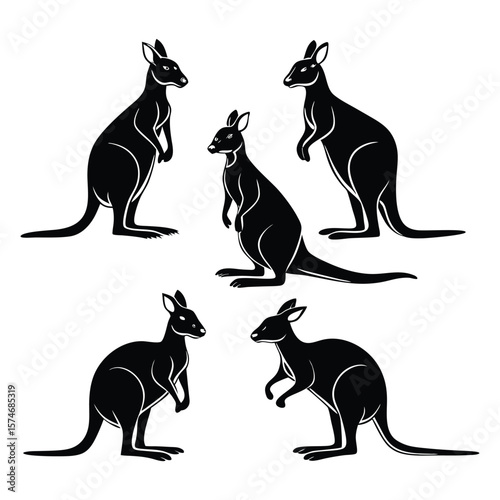 Kangaroo Silhouette Vector Set