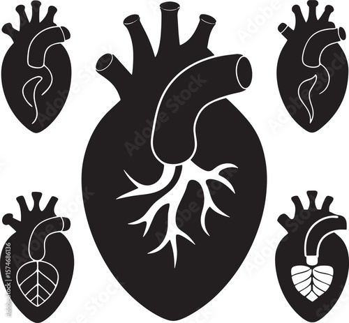 Collection of stylized anatomical heart silhouettes isolated on white background