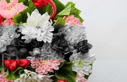 Bouquet of Blooming Chrysanthemum Separated by Colors on Colorful and Monochrome Sectors   
