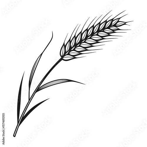 Wheat Grain Illustration Black and White Graphic Design