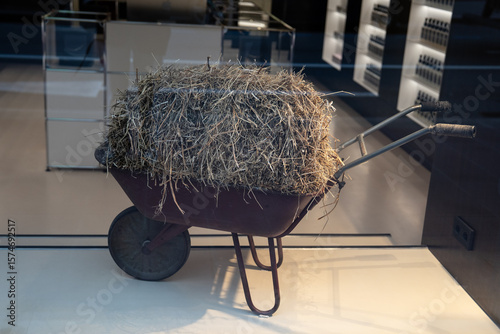 A Rustic Wheelbarrow that is Overflowing with Freshly Gathered Hay from the Farm