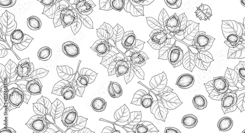 Delicate hand drawn macadamia nuts and leaves seamless pattern illustration for natural food packaging and kitchen decor
