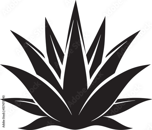 black silhouette of an agave plant isolated on white background
