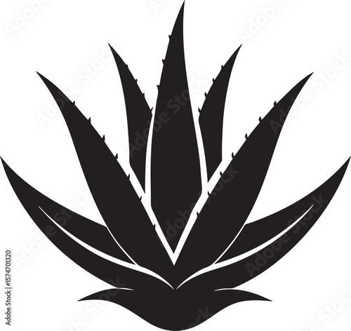 Black silhouette of an aloe vera plant isolated on white background