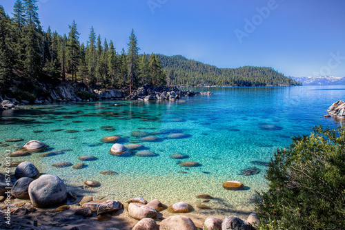 Lake Tahoe Cove in July