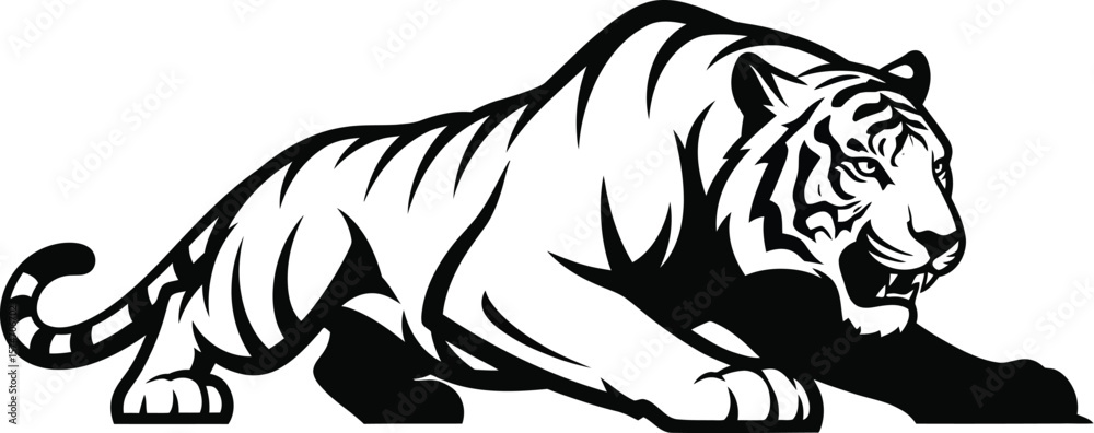 A black and white illustration of a tiger in a crouching position on a white background A black and white illustration of a tiger in a crouching position on a white background