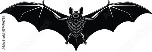 A black and white illustration of a bat with its wings spread out wide open