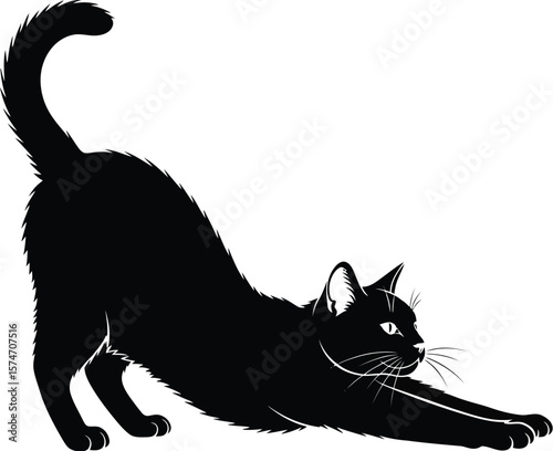 A black cat stretching its body with its tail raised against a white background