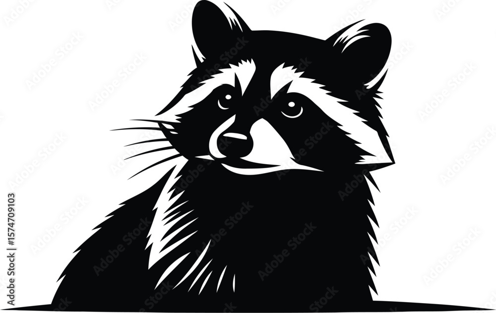 Fototapeta premium A black and white illustration of a raccoon looking forward on a white background