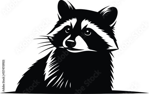 A black and white illustration of a raccoon looking forward on a white background