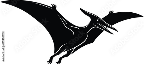 A black silhouette of a pterodactyl flying with its wings spread on white background