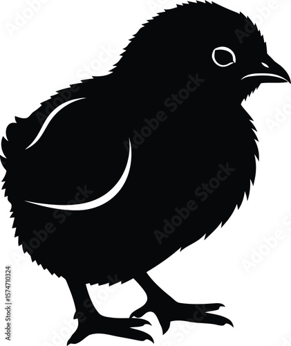 Silhouette illustration of a small chick standing on a white background view side