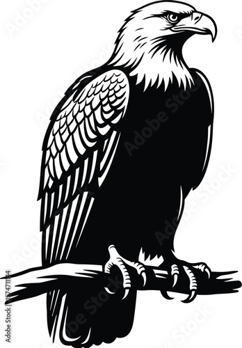 A monochrome illustration of a bald eagle perched on a branch with a white background