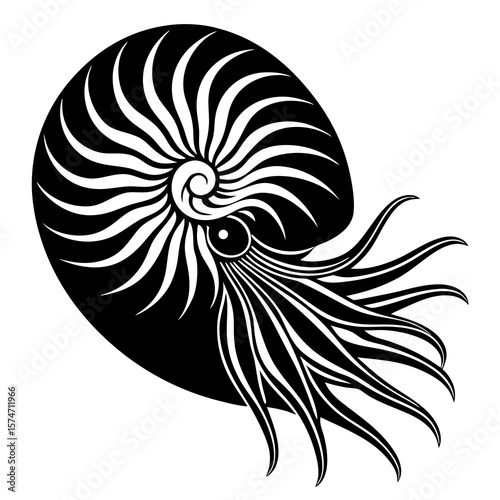 vector illustration of a seashell
