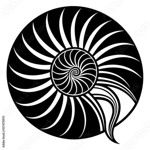 vector spiral