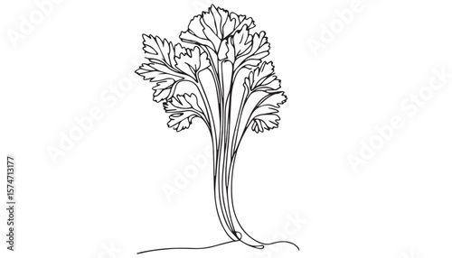 Continuous one single minimal line drawing Celery