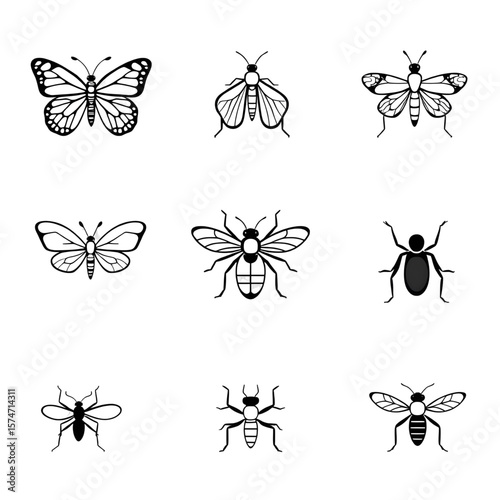 A collection of a lot of types of insects, ants, butterflies