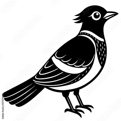 bird on a branch