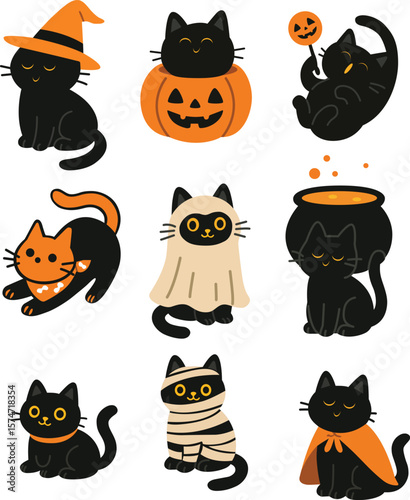 Black cat Halloween costume pumpkin witch ghost mummy orange playful cute festive cartoon animal magic spooky autumn holiday illustration happy