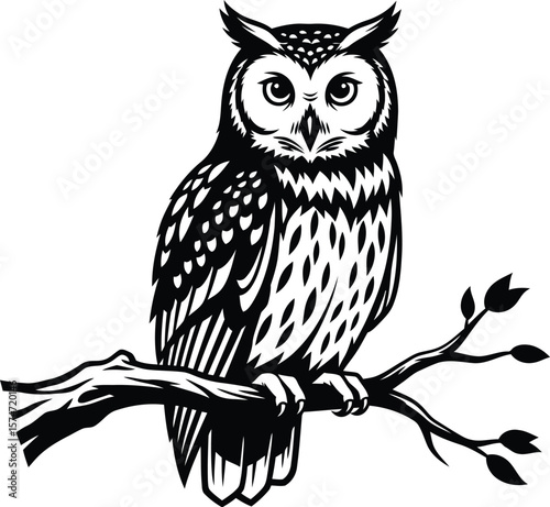 A detailed black and white illustration of an owl perched on a branch vector