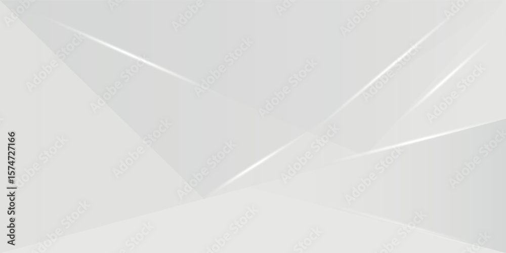 Obraz premium Abstract white and gray background. smooth abstract background, blurred pattern. vector eps 10