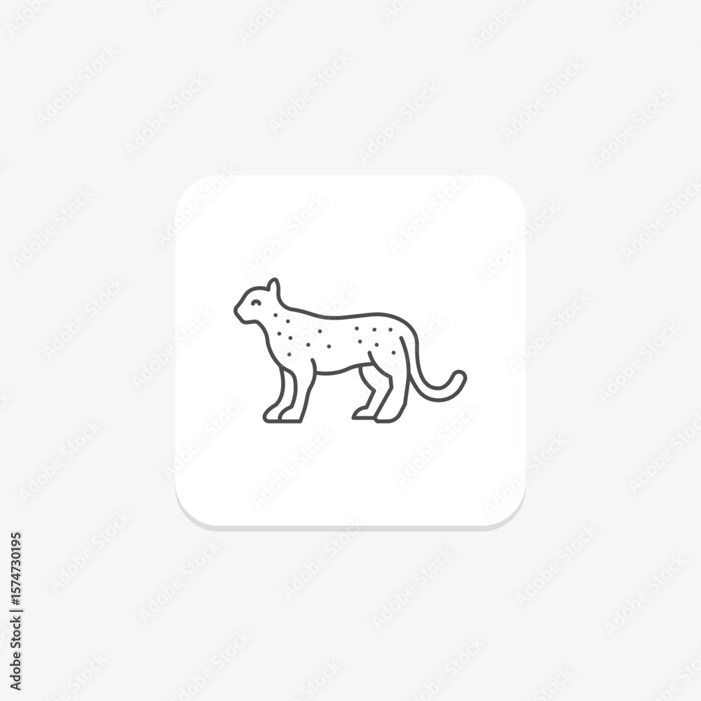 Fototapeta premium Snow Leopard, vector, pixel perfect, illustrator file