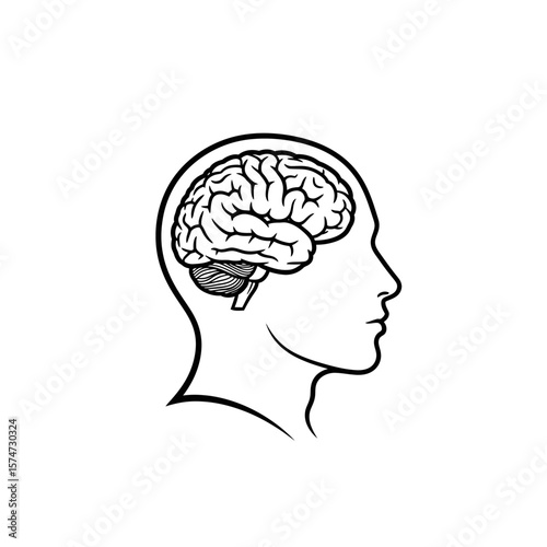 A black and white line drawing of a head in profile with a brain inside the head illustration