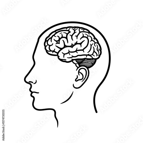A black and white line drawing of a human head in profile with a visible brain inside the skull