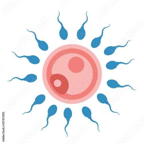 Stylized Illustration of Human Egg Surrounded by Sperm for Fertility Education and Reproductive Health Awareness 