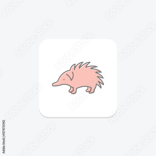 Echidna, vector, pixel perfect, illustrator file