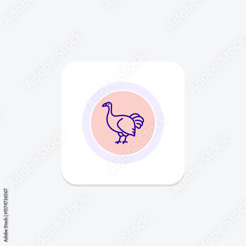 Brush Turkey, vector, pixel perfect, illustrator file