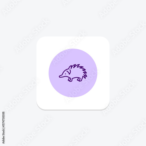 Echidna, vector, pixel perfect, illustrator file